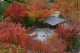 Gli splendidi colori autunnali dei Giardini di Castel Trauttmansdorff