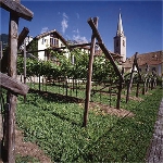 La sede del Museo provinciale del vino 