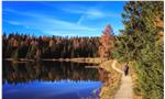 L’autunno visto da Cecilia Meggio