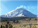 Venerdì 20 maggio serata sull’Ecuador al Museo di Scienze Naturali 