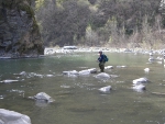 Über 12.000 aktive Fischer und auch Fischerinnen gibt es in Südtirol; das Bild zeigt einen Fischer im Eisack. Im Februar wird nun wieder die Prüfung zur Erlangung des Fischerscheins abgehalten.