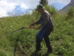 Die Mahd steht im Mittelpunkt des UNESCO-LaBfestes in Wengen./ Foto Landesamt für Naturparke