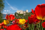 Auftakt mit Tulpen: Am Mittwoch, 1. April, öffnen die Gärten von Schloss Trauttmansdorff in Meran ihre Tore für die neue Gartensaison