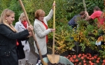 Ulrike Oberhammer, Gabi Strohmer und Martha Stocker beim Pflanzen der Seidenakazie