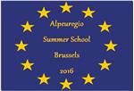 Jungakademiker und Studierende können sich im Rahmen der Alpeuregio Summer School in Brüssel in Europathemen und Europarecht weiterbilden