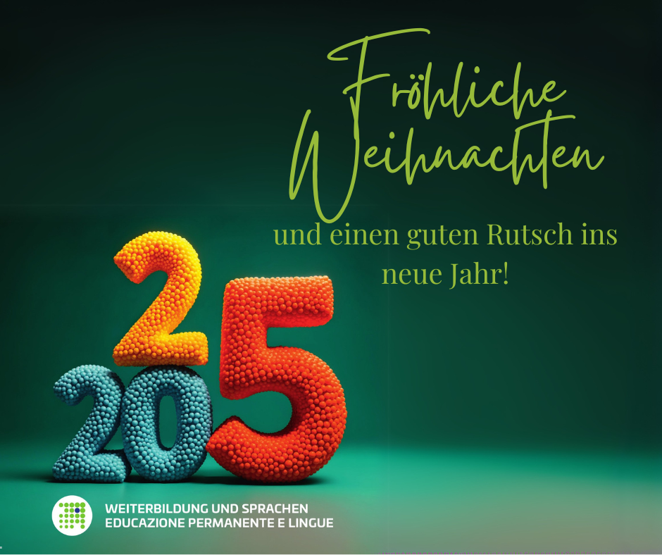 Frohe Weihnachten und ein gutes Neues Jahr 2025