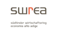 Logo Wirtschaftsring