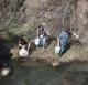 Gli studenti nel corso del ripopolamento del lago con giovani trote lacustri