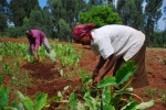 Progetti di agricoltura sostenibile saranno tra quelli promossi in Africa con il finanziamento della Provincia (Foto Diocesi Bolzano-Bressanone)