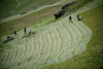 Risarcimenti agli agricoltori di alta montagna