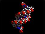 Una raffigurazione del DNA 