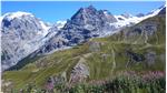 Un tratto della prima tappa dell’Alta Via nella zona dell’Ortles. Foto: Alessandro De Polo