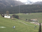 Cannone da neve e prato verde, immagine tipica di questo inverno mite