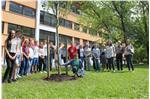 Die Schulklasse 3F der Mittelschule Neumarkt, Gartenkuratorin Karin Kompatscher und das Trauttmansdorffer Gärtner-Team, Schuldirektor Armin Haller, Schulinspektor Alber, Bürgermeister Pichler und Lehrpersonen mit der neu gepflanzten Magnolie.