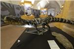 Die Ausstellung DinoMiti im Naturmuseum ist noch bis 18. September offen