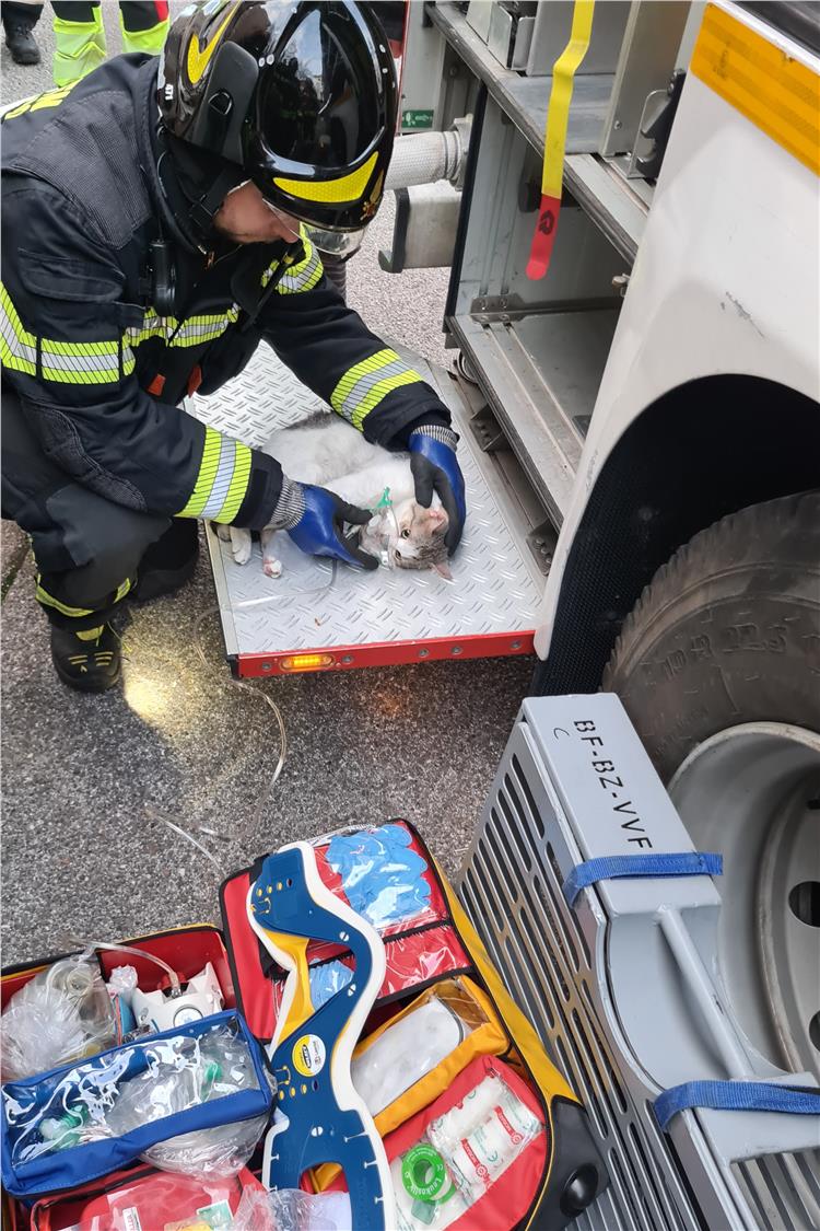 Küchenbrand Mendelstrasse