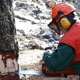 Hartes Training vor der EM-Teilnahme: Felix Trientbacher in Aktion