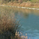 Die Etsch im Unterland mit dem Fennberg und der Salurner Klause im Hintergrund.